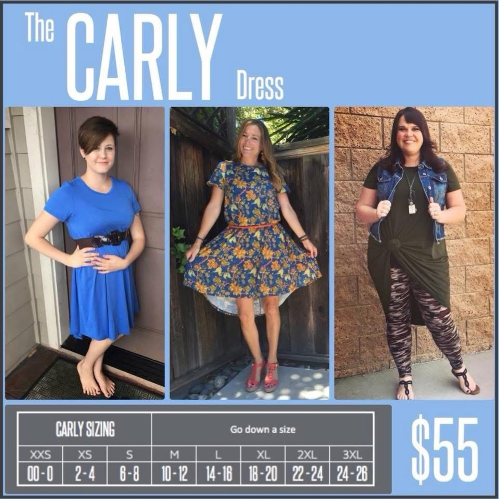LuLaRoe Carly Dress - Size XL - Picture 6 of 6